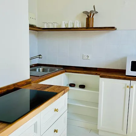 Luminous And Spacious Boboli Apartment